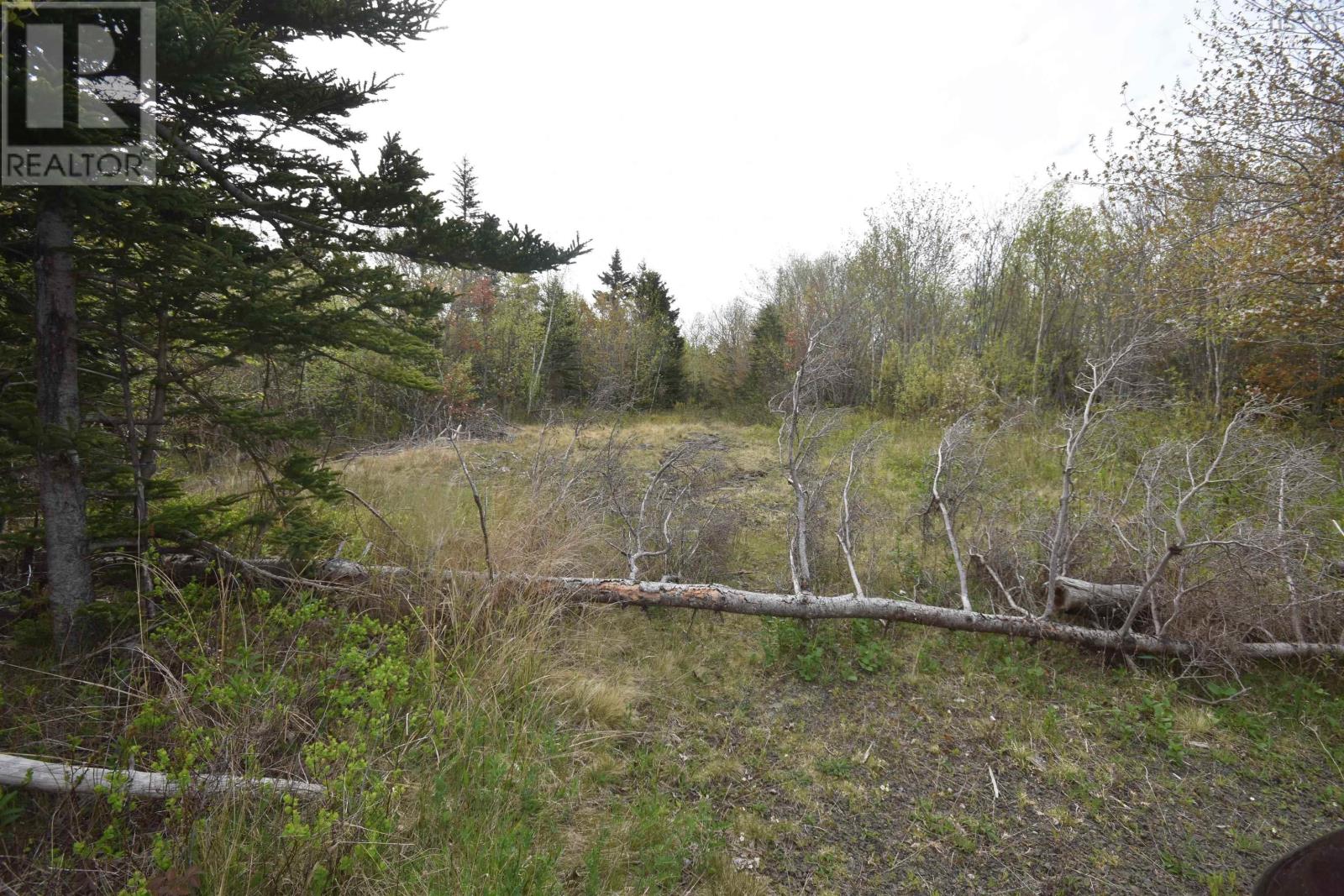 Lot Shore Road W, Youngs Cove, Nova Scotia  B0S 1L0 - Photo 4 - 202411829