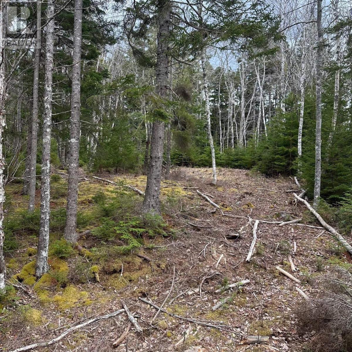 Lot 8 Fire Cove Road, Feltzen South, Nova Scotia  B0J 2X0 - Photo 10 - 202411843