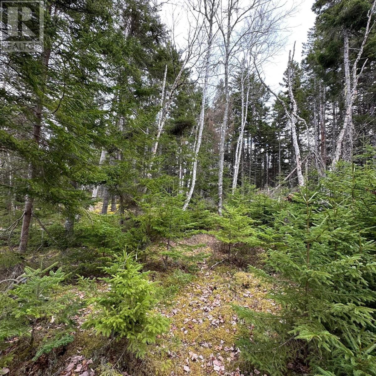 Lot 8 Fire Cove Road, Feltzen South, Nova Scotia  B0J 2X0 - Photo 7 - 202411843