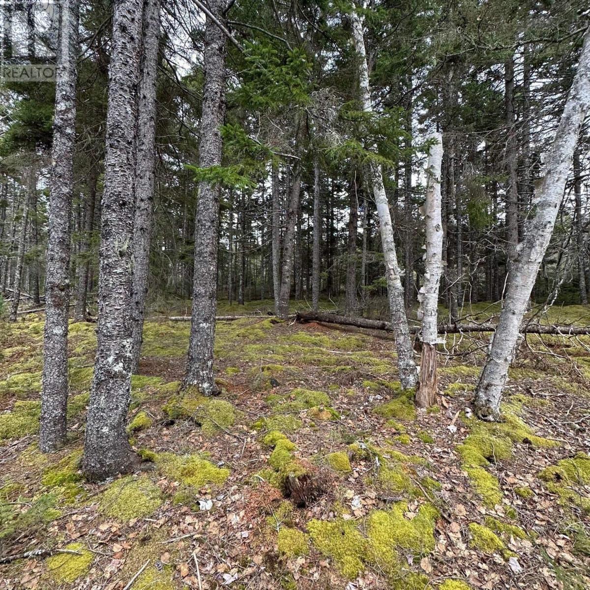 Lot 8 Fire Cove Road, Feltzen South, Nova Scotia  B0J 2X0 - Photo 8 - 202411843