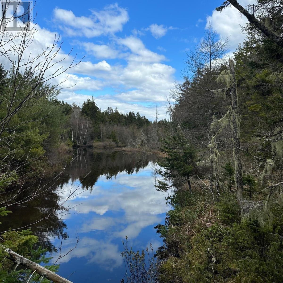 Lot 8 Fire Cove Road, Feltzen South, Nova Scotia  B0J 2X0 - Photo 9 - 202411843