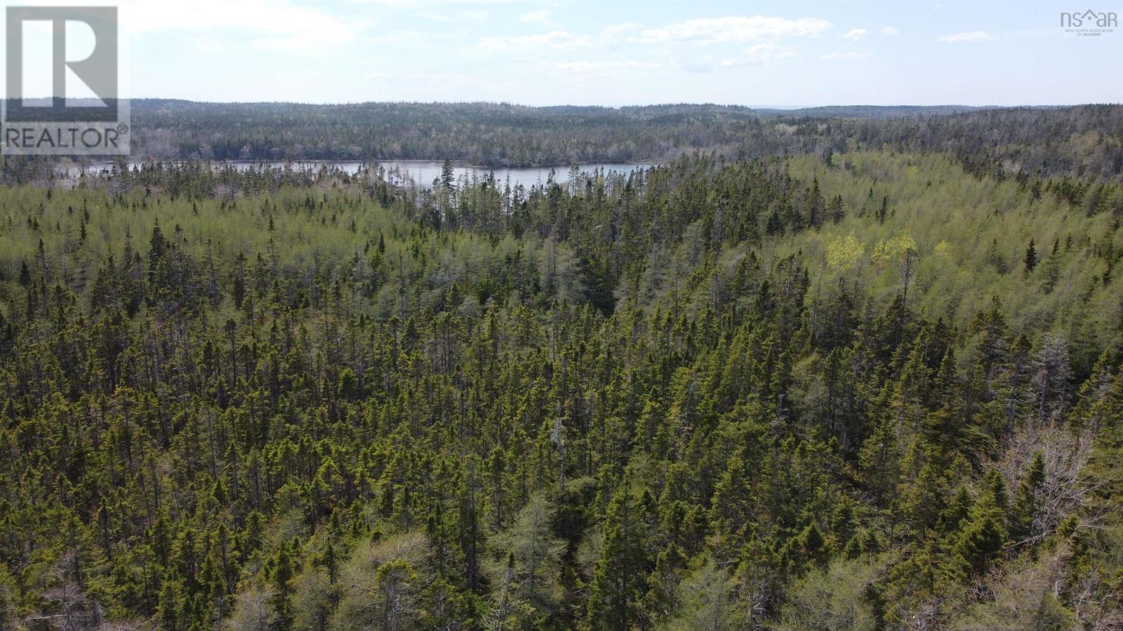 Lot 2 Grandique Road, Arichat, Nova Scotia  B0E 1K0 - Photo 14 - 202411845