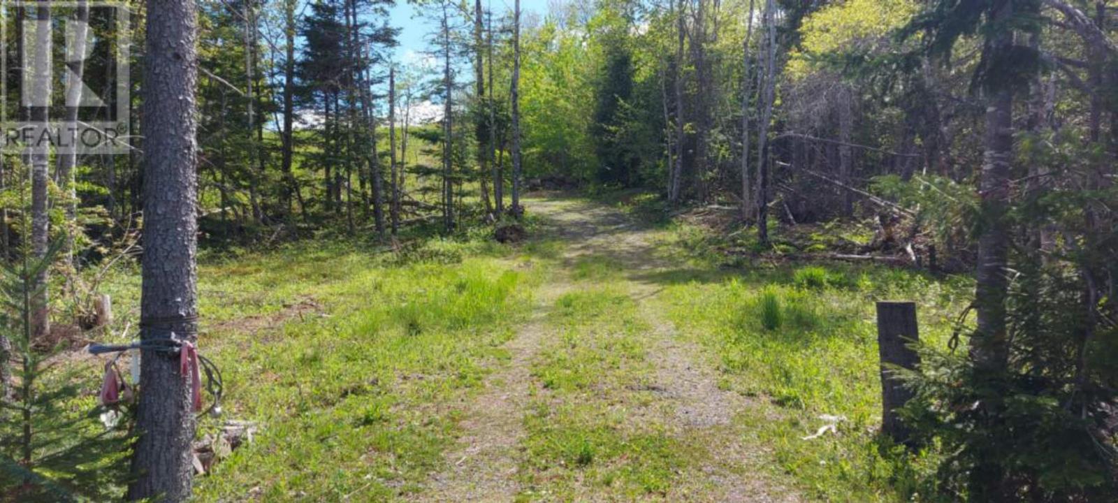 Lot 3a 9384 Highway 4, French River, Nova Scotia  B0K 1V0 - Photo 9 - 202411857