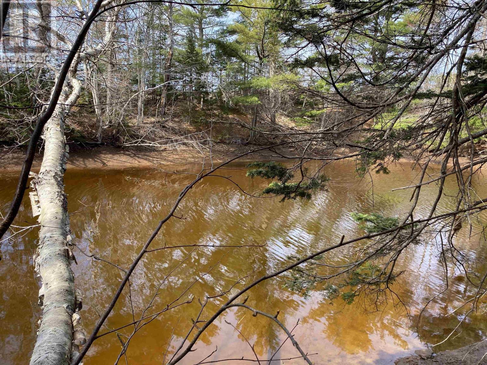 2a Wallace River West Road, Wallace River West, Nova Scotia  B0K 1Y0 - Photo 13 - 202411929