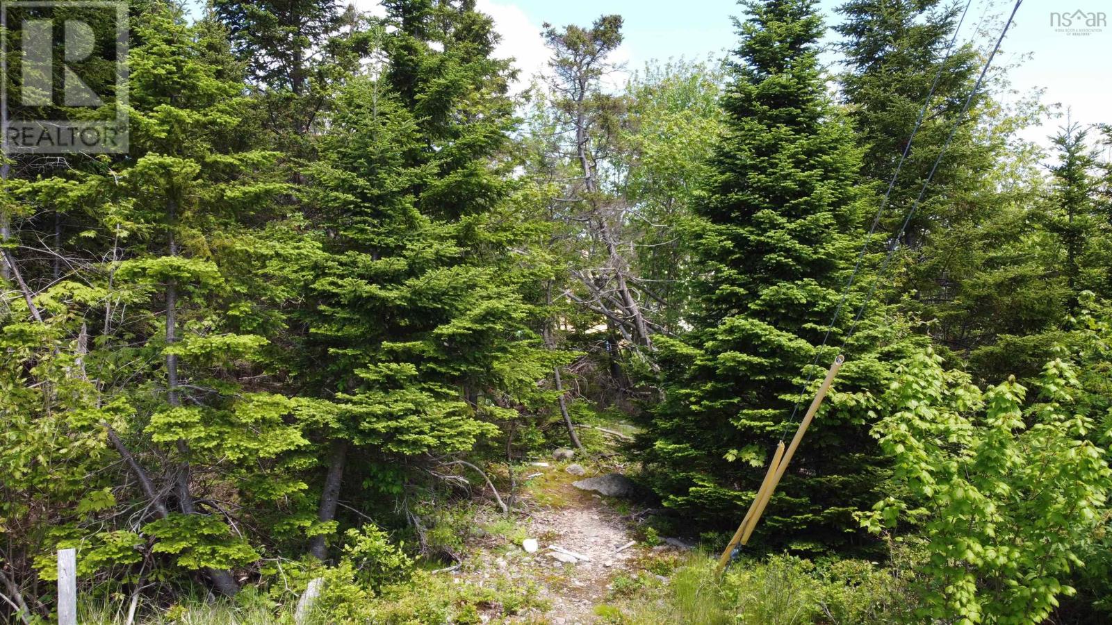 12 Dragonfly Lane, Herring Cove, Nova Scotia  B3V 0C6 - Photo 7 - 202412060