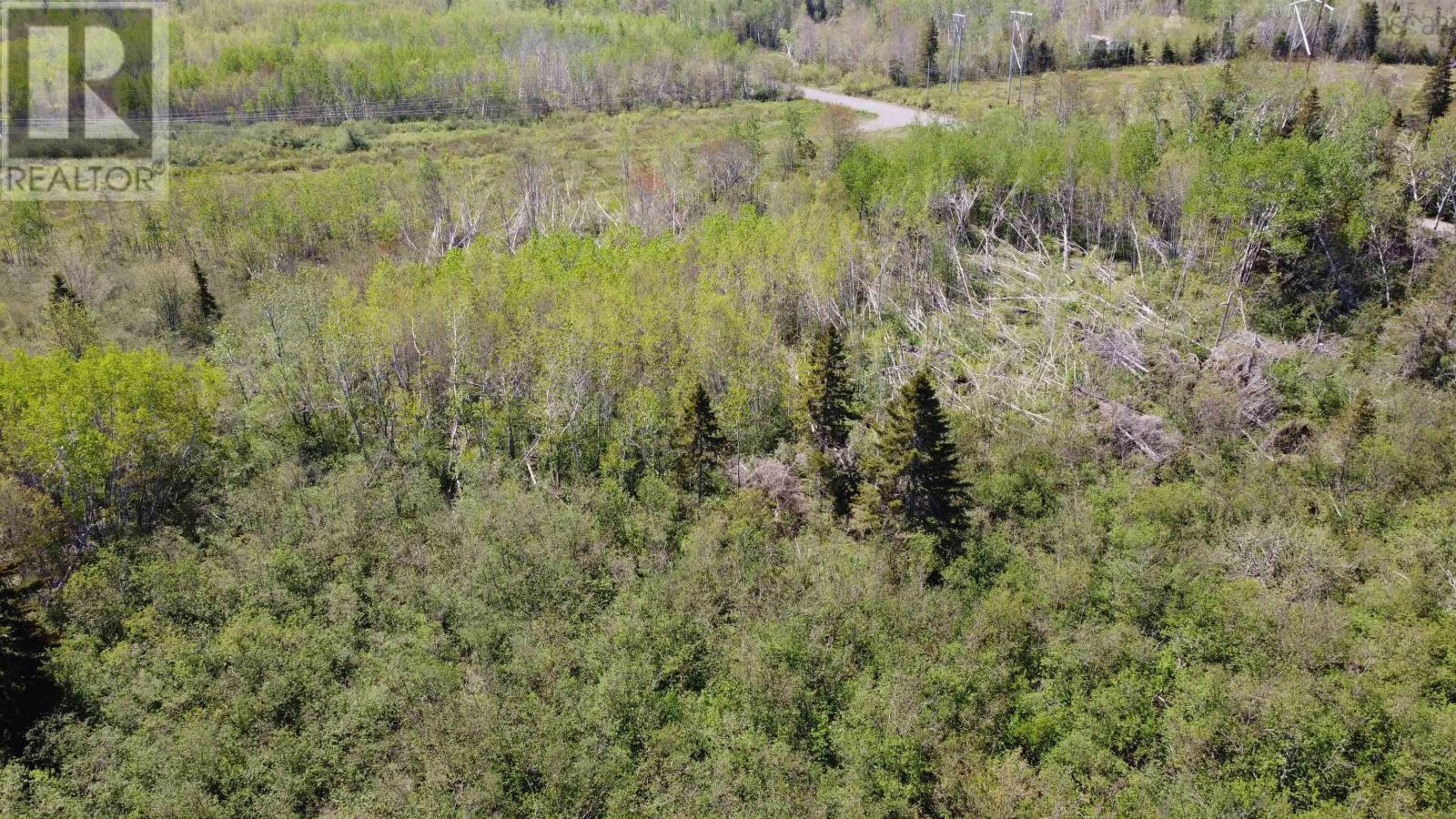 Lot Lamont Road, Egerton, Nova Scotia  B0K 1G0 - Photo 21 - 202412087