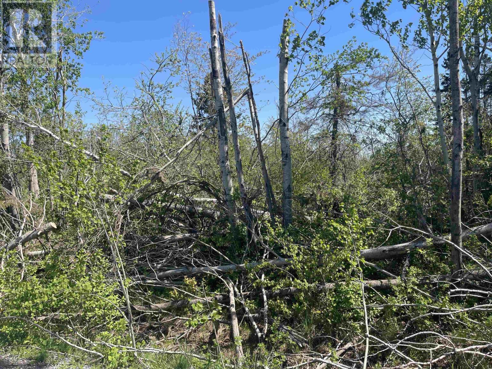 Lot Lamont Road, Egerton, Nova Scotia  B0K 1G0 - Photo 26 - 202412087