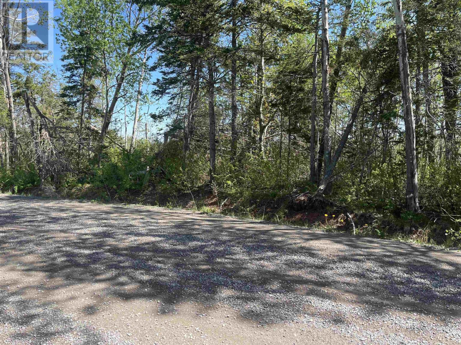 Lot Lamont Road, Egerton, Nova Scotia  B0K 1G0 - Photo 4 - 202412087