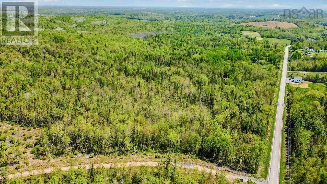 Lot 1 Highway 215, Lower Burlington, Nova Scotia  B0N 2A0 - Photo 8 - 202412125