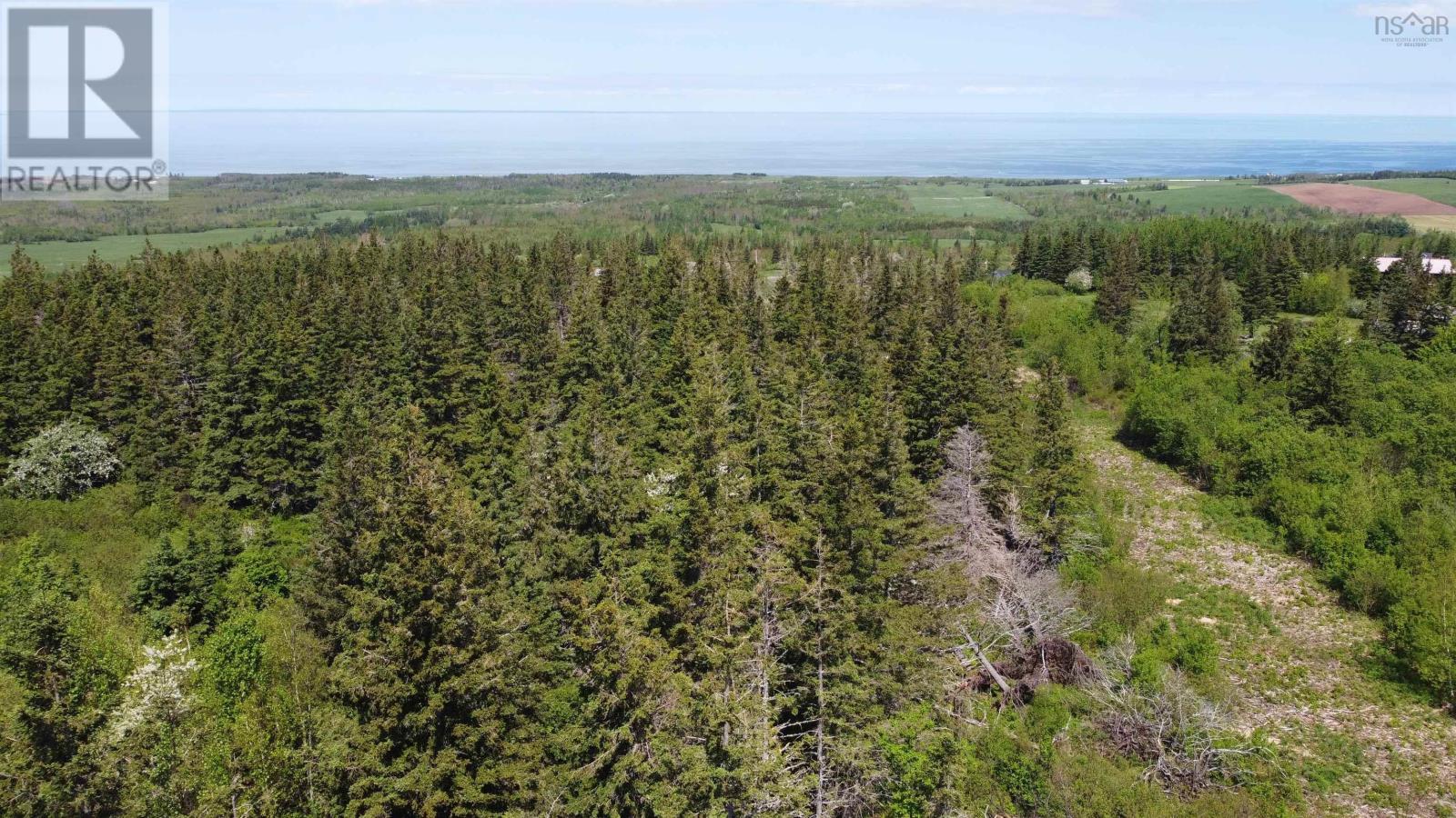 Lot 4 Avondale Ardness Road, Ardness, Nova Scotia  B0K 1G0 - Photo 3 - 202412143