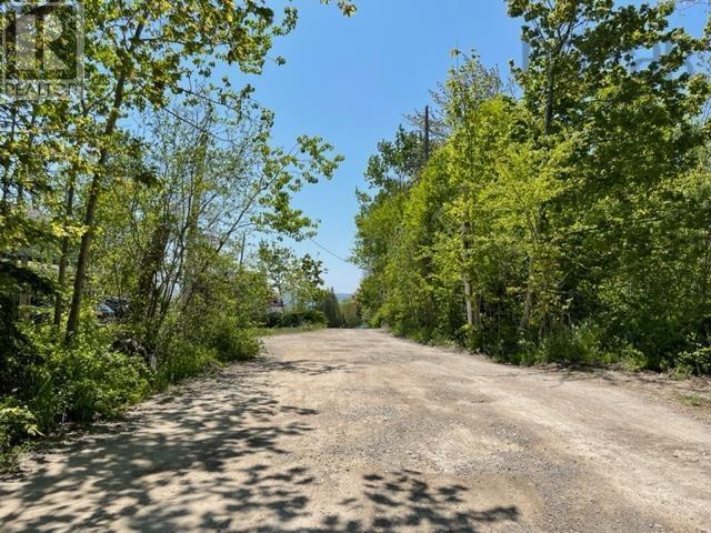 Lot 10 Alexander Drive, Baddeck, Nova Scotia  B0E 1B0 - Photo 2 - 202412191