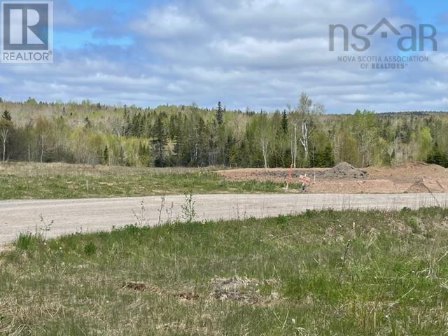 Lot 21-3 Alexander Drive, Baddeck, Nova Scotia  B0E 1B0 - Photo 8 - 202412193