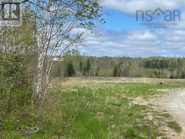 Lot 21-5 Alexander Drive, Baddeck, Nova Scotia  B0E 1B0 - Photo 2 - 202412203