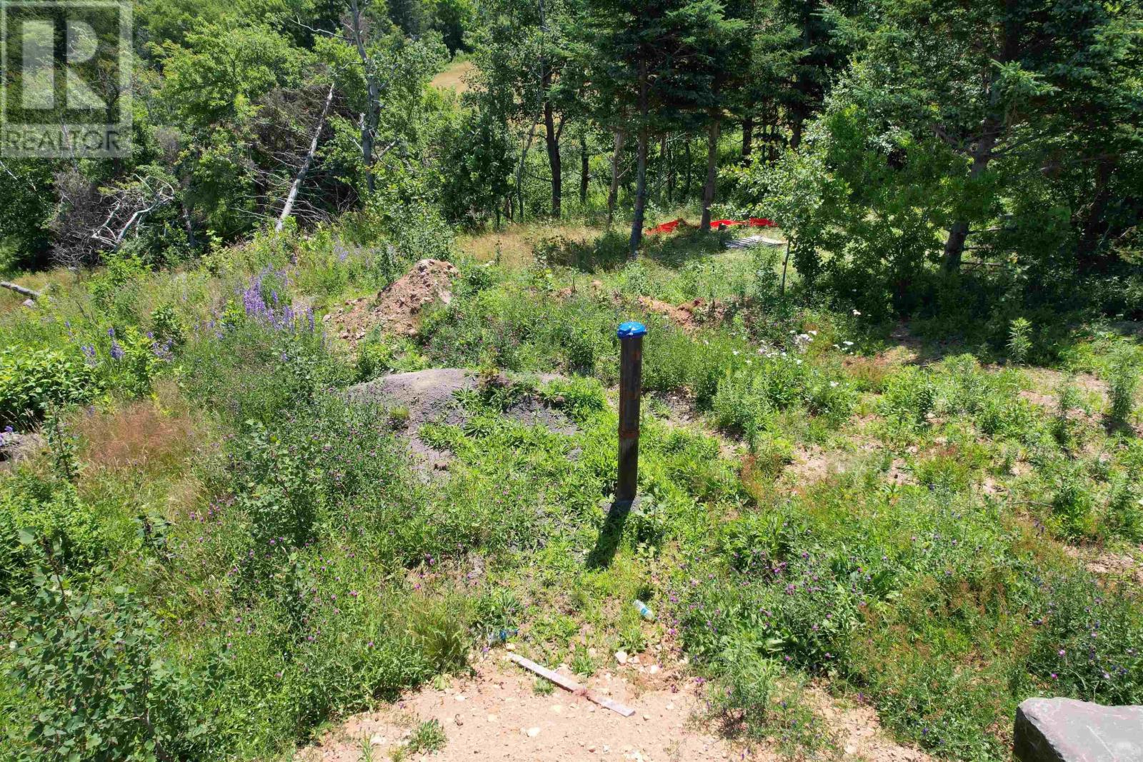 Lot Brinton Road, Port Lorne, Nova Scotia  B0S 1R0 - Photo 12 - 202412298