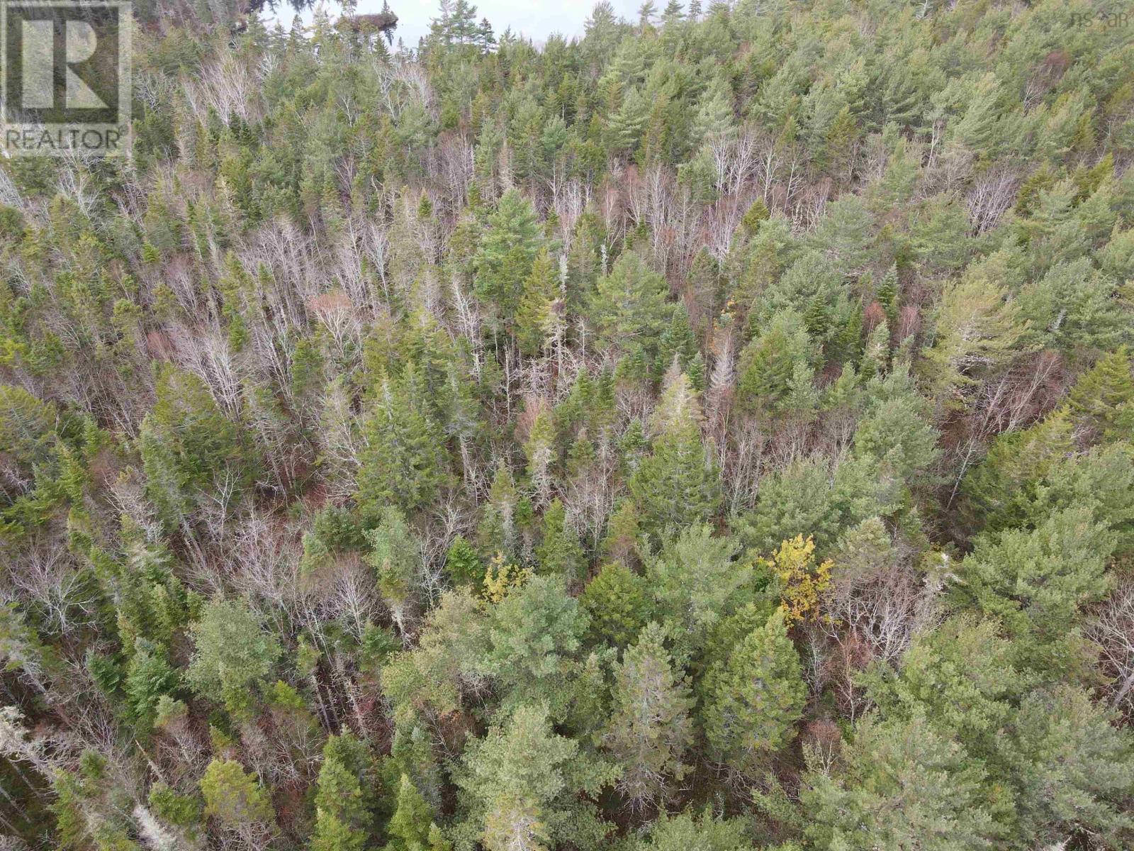 Lady Slipper Lane, Mount Uniacke, Nova Scotia  B0N 1Z0 - Photo 3 - 202412324