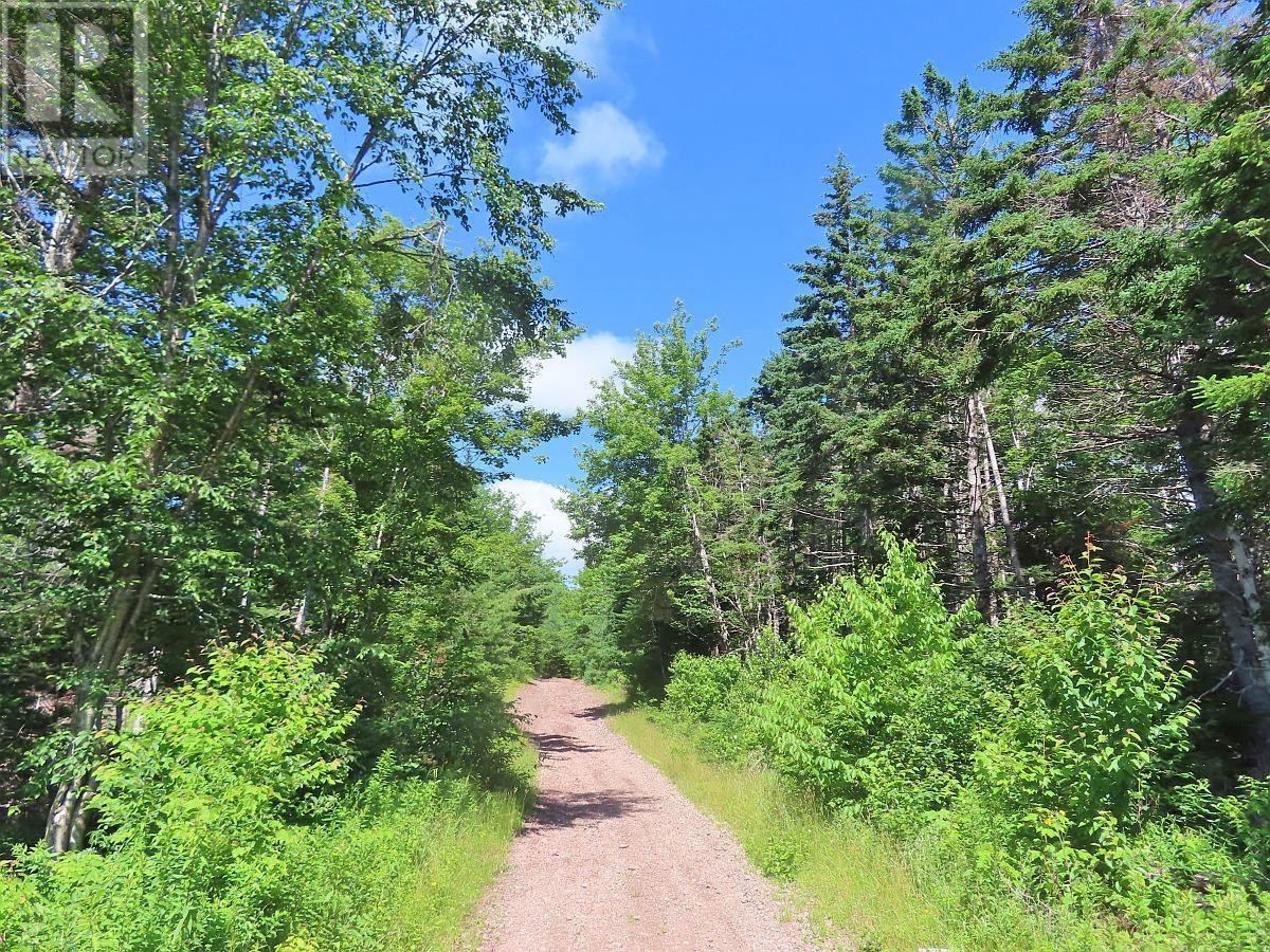 730 Acres Chapel Road, huntington, Nova Scotia