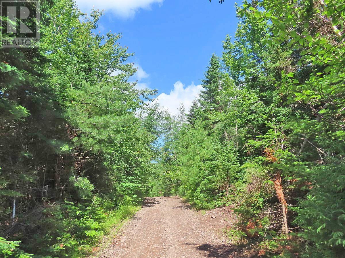 730 Acres Chapel Road, Huntington, Nova Scotia  B1K 1T9 - Photo 12 - 202412419