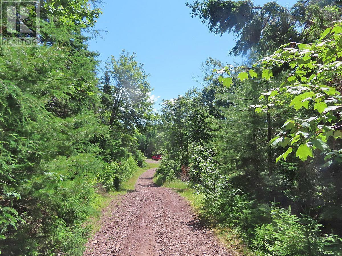 730 Acres Chapel Road, Huntington, Nova Scotia  B1K 1T9 - Photo 13 - 202412419