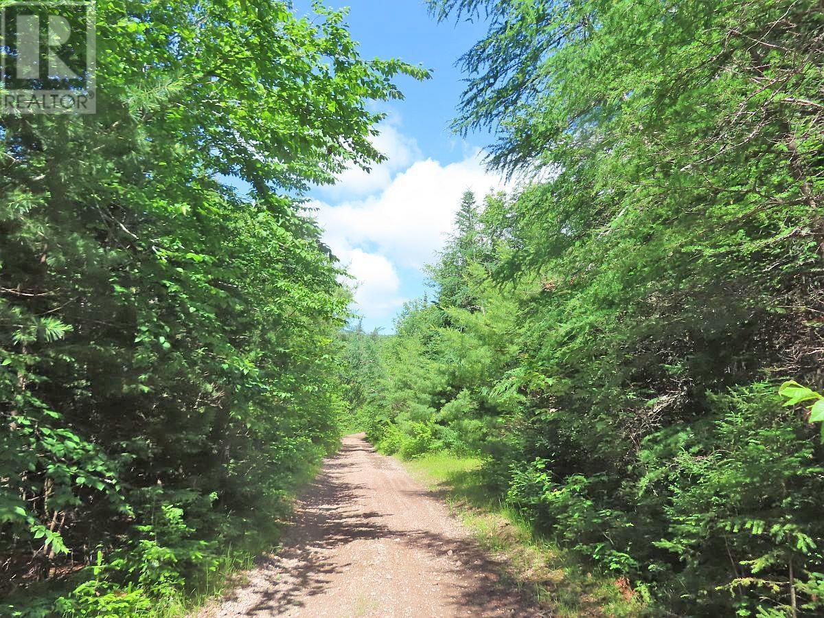 730 Acres Chapel Road, Huntington, Nova Scotia  B1K 1T9 - Photo 2 - 202412419