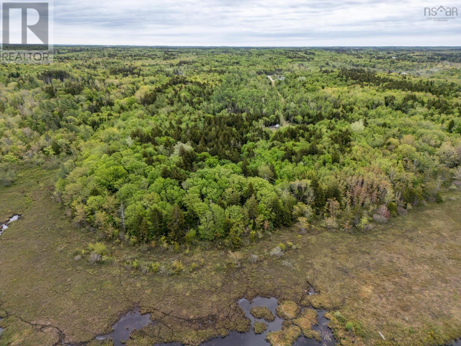 Lots Boudreau Branch Road, Church Point, Nova Scotia  B0W 1M0 - Photo 16 - 202412425