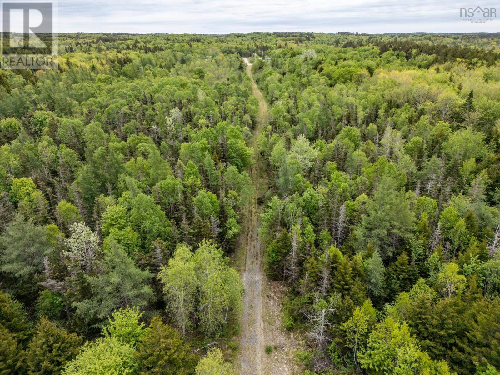 Lots Boudreau Branch Road, Church Point, Nova Scotia  B0W 1M0 - Photo 19 - 202412425