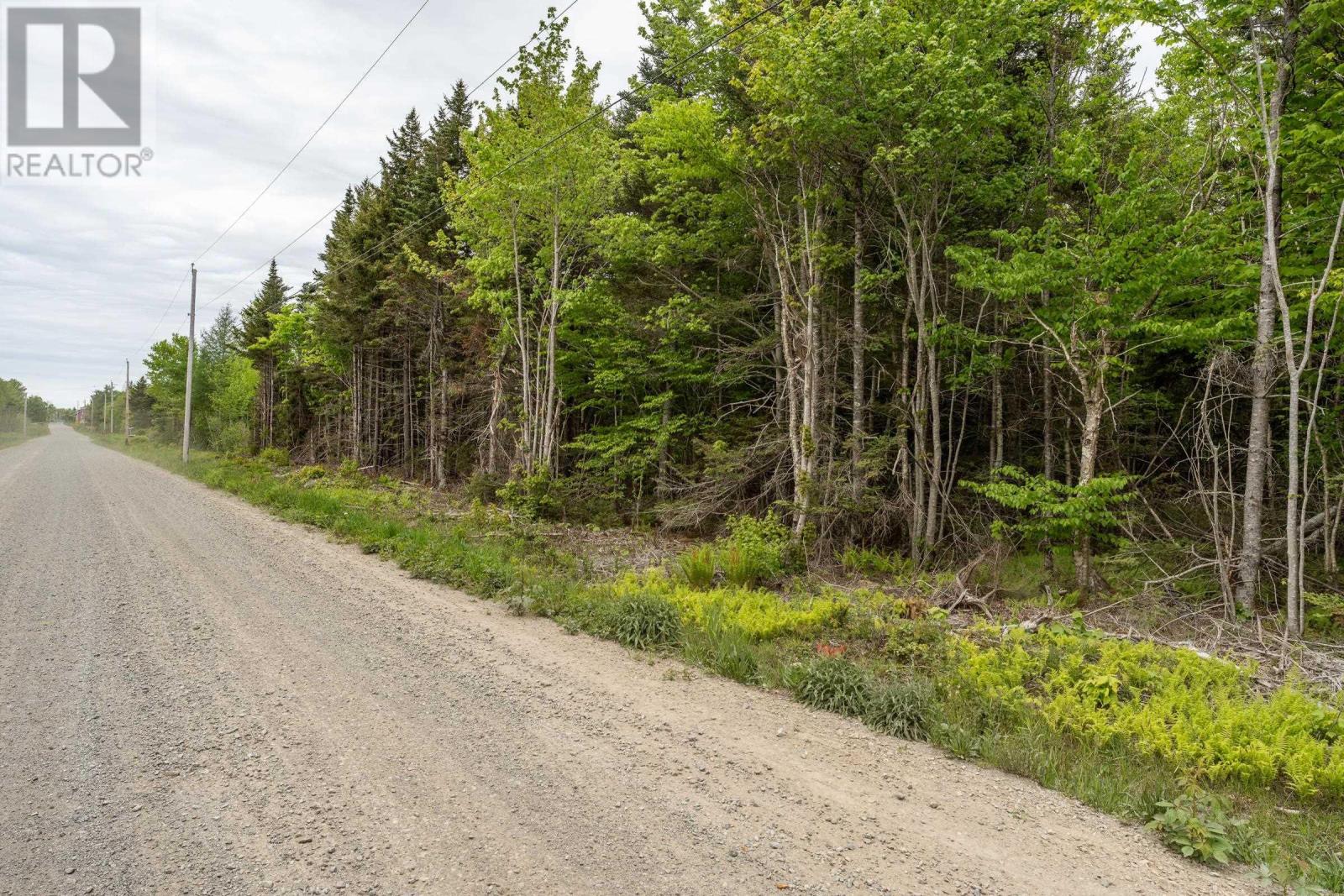 Lots Boudreau Branch Road, Church Point, Nova Scotia  B0W 1M0 - Photo 23 - 202412425