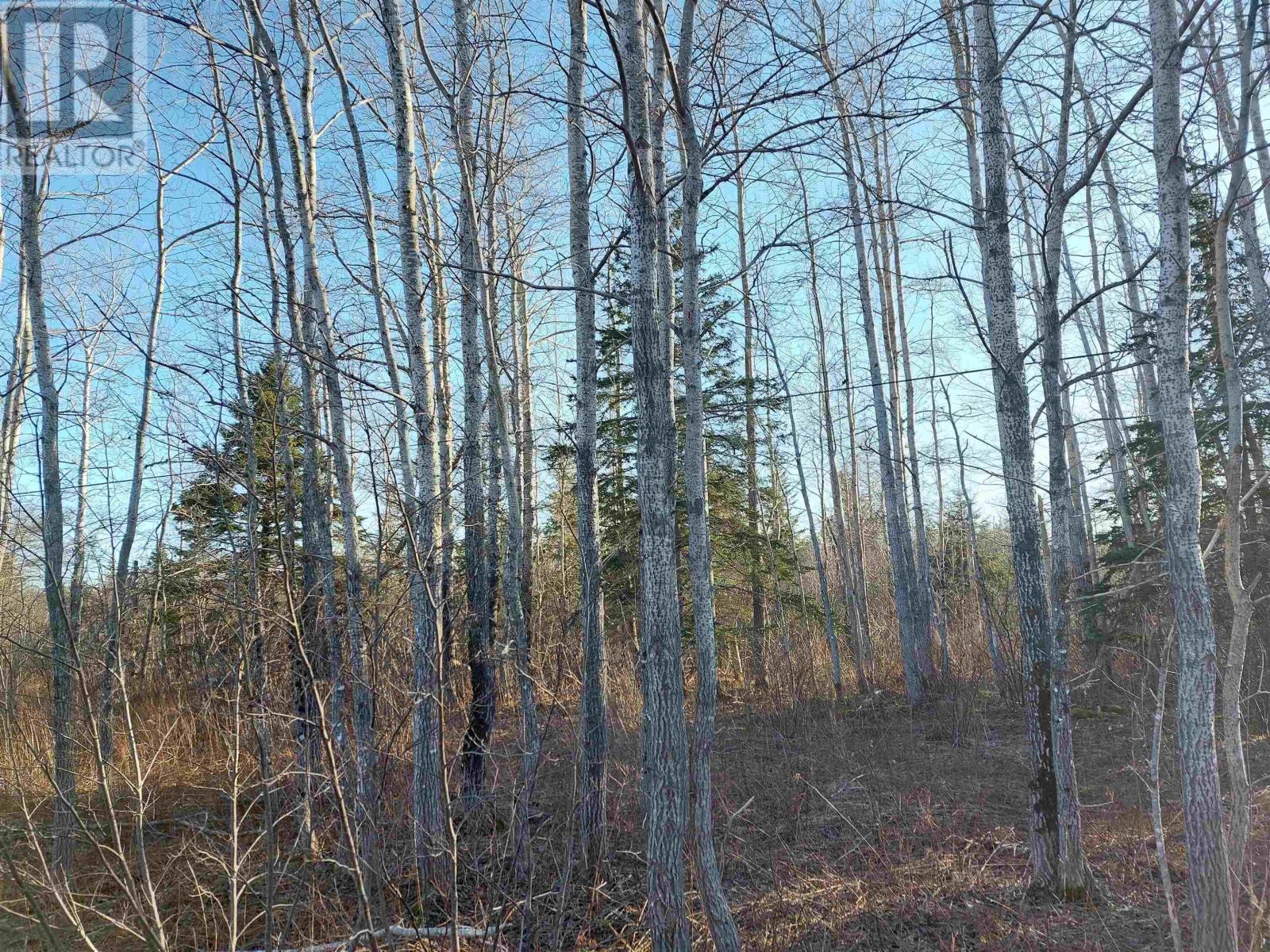 Lot1 Hwy 4, Cleveland, Nova Scotia  B0E 1J0 - Photo 11 - 202412447