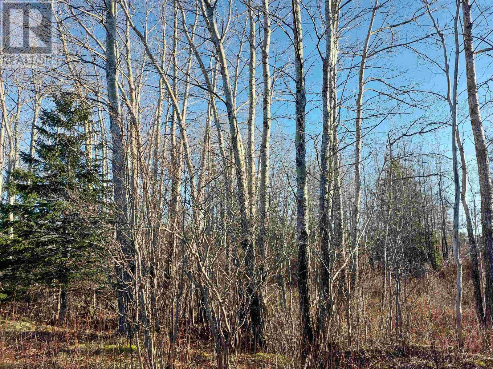 Lot1 Hwy 4, Cleveland, Nova Scotia  B0E 1J0 - Photo 12 - 202412447