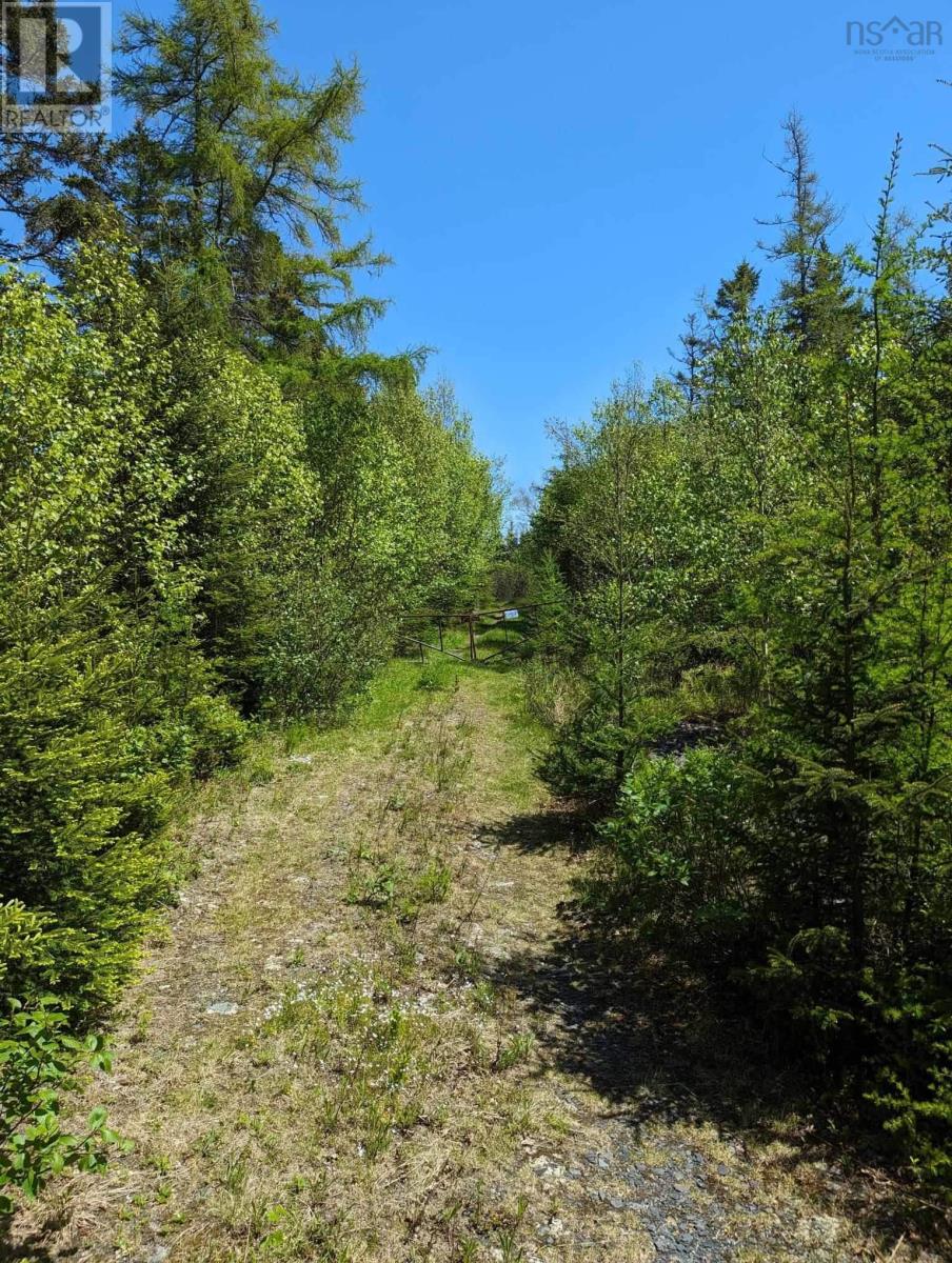 Lot Mes-1x West Lawrencetown Road, West Lawrencetown, Nova Scotia  B2Z 1S6 - Photo 14 - 202412511