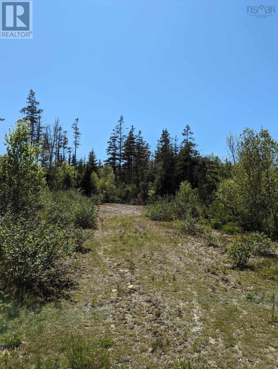 Lot Mes-1x West Lawrencetown Road, West Lawrencetown, Nova Scotia  B2Z 1S6 - Photo 16 - 202412511