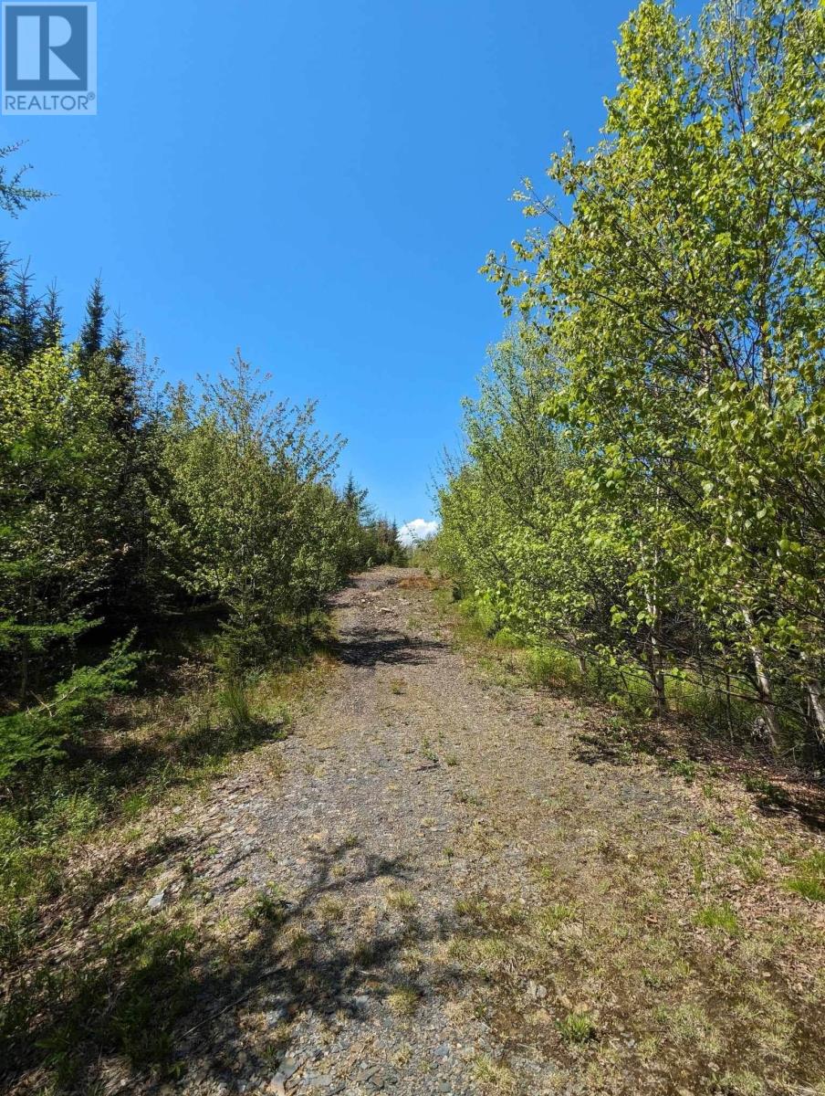 Lot Mes-1x West Lawrencetown Road, West Lawrencetown, Nova Scotia  B2Z 1S6 - Photo 17 - 202412511