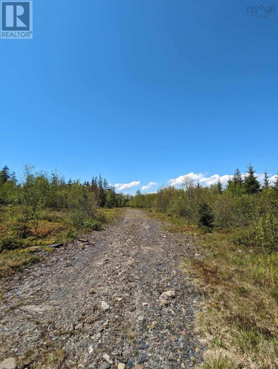 Lot Mes-1x West Lawrencetown Road, West Lawrencetown, Nova Scotia  B2Z 1S6 - Photo 19 - 202412511