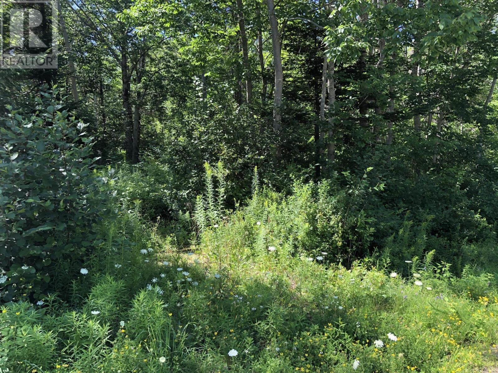 Lot Lighthouse Road, Bay View, Nova Scotia  B0V 1A0 - Photo 7 - 202412516