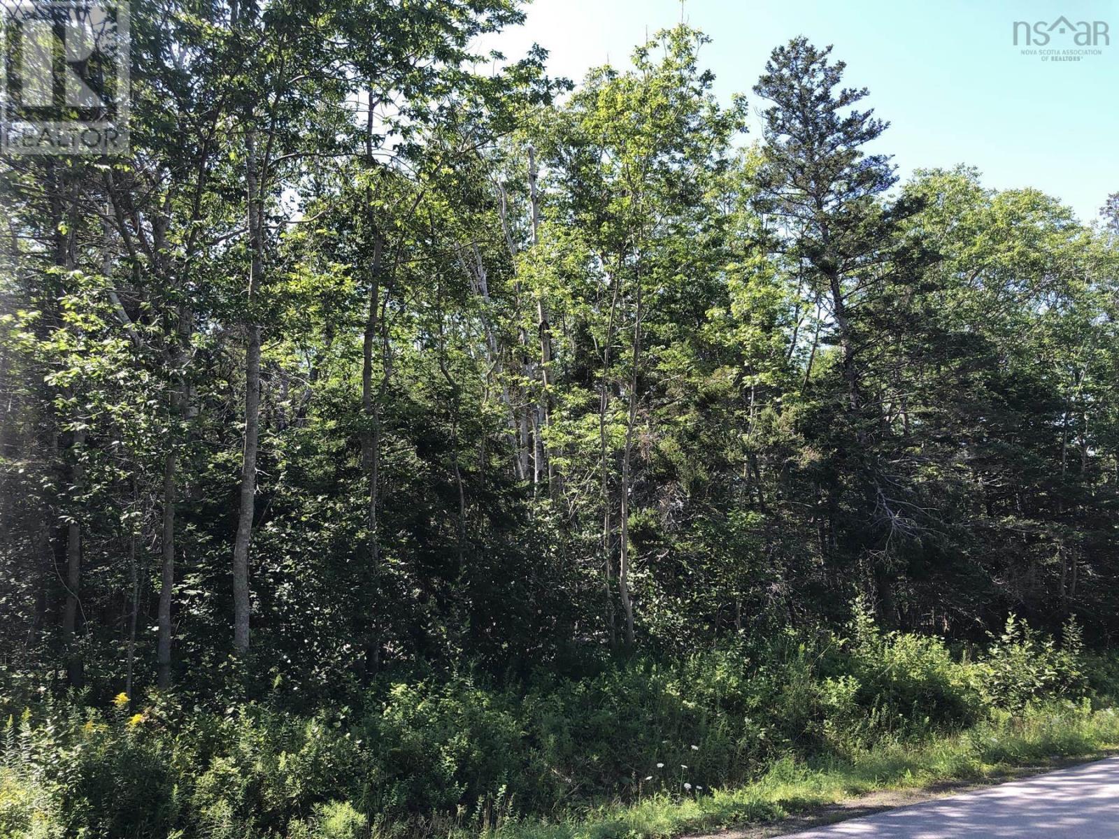 Lot Lighthouse Road, Bay View, Nova Scotia  B0V 1A0 - Photo 8 - 202412516