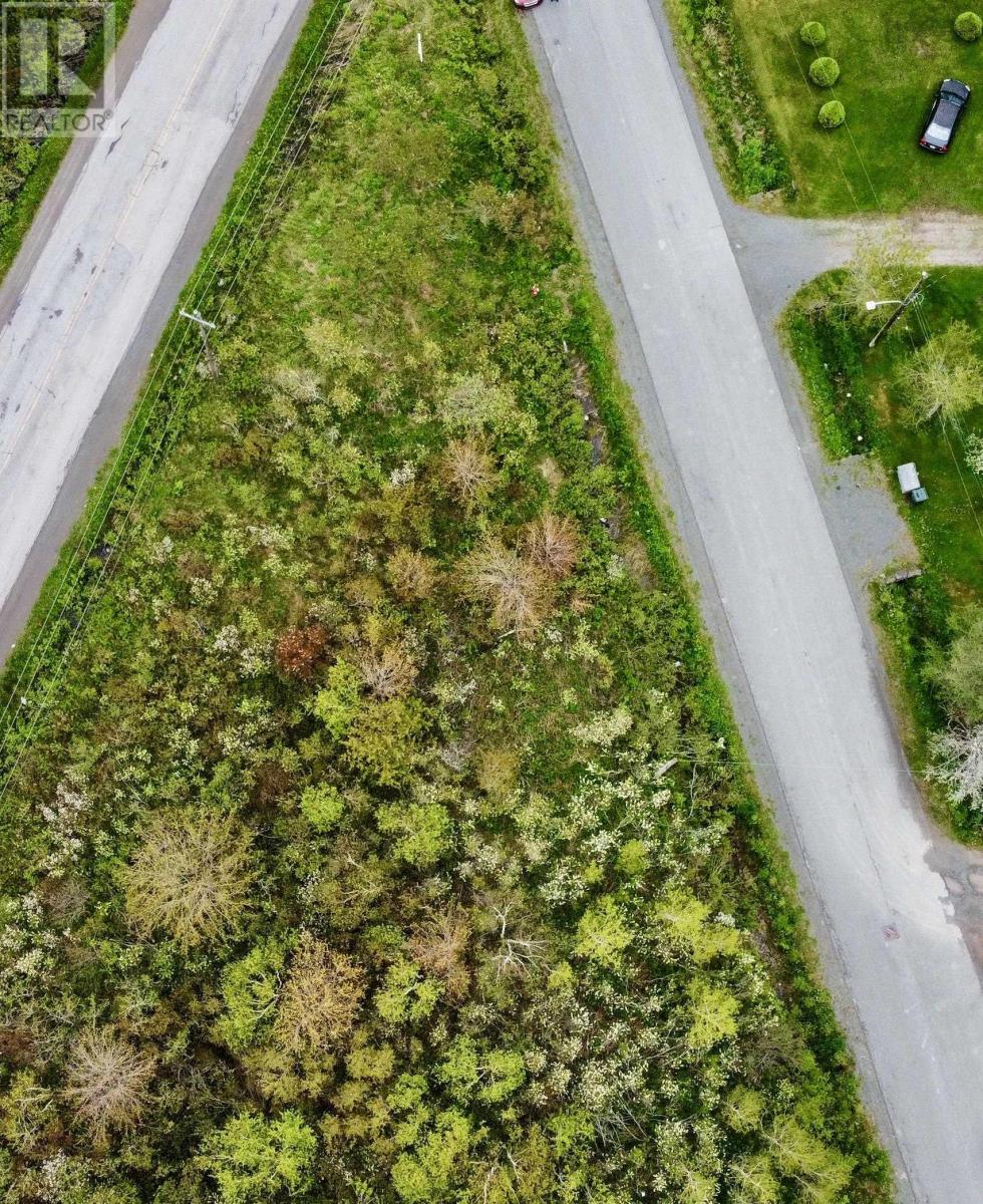 Tower Road, Lots Sharps Lane, Birch Grove, Nova Scotia  B1B 1Y1 - Photo 2 - 202412582