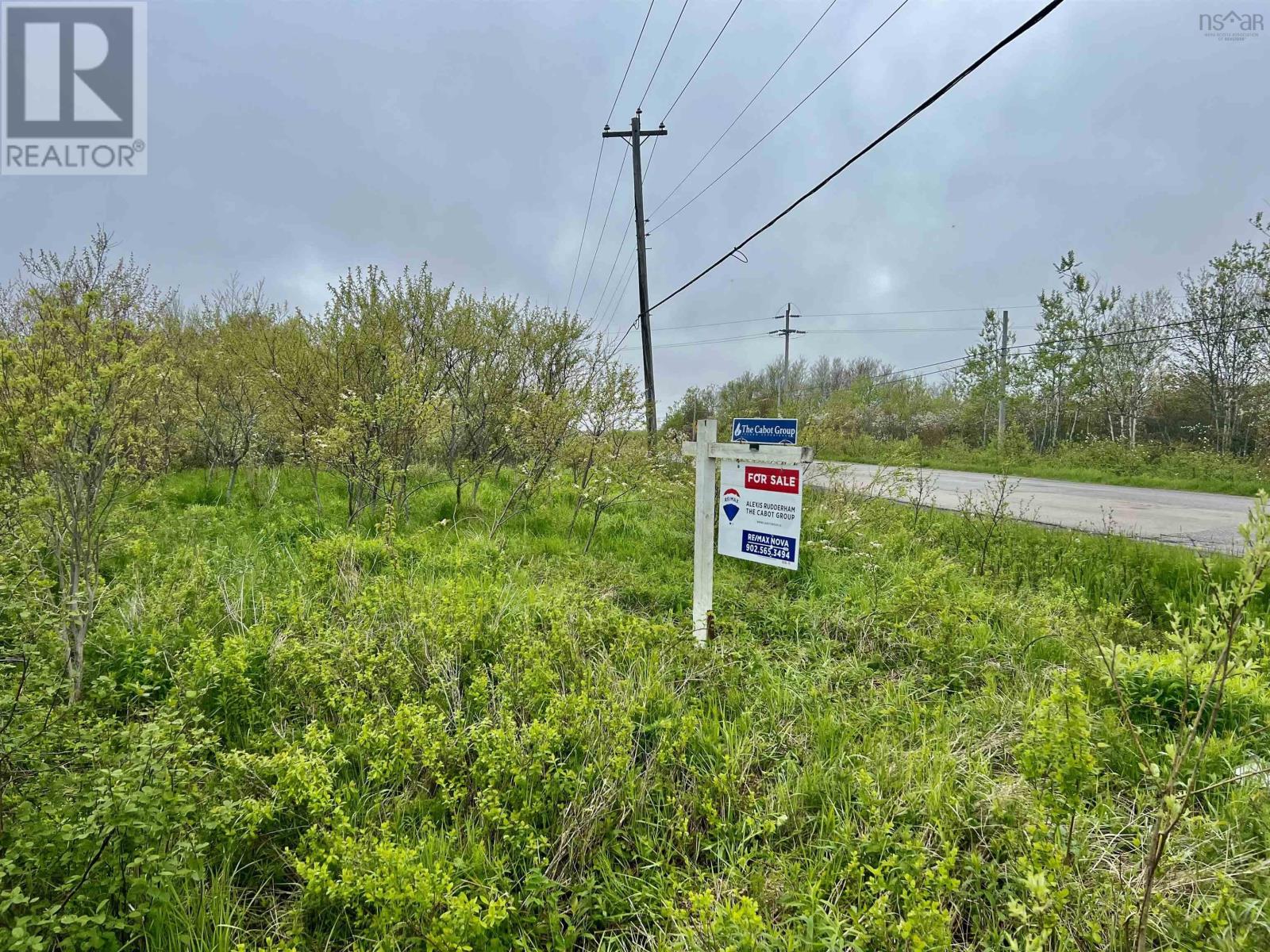 Tower Road, Lots Sharps Lane, Birch Grove, Nova Scotia  B1B 1Y1 - Photo 3 - 202412582