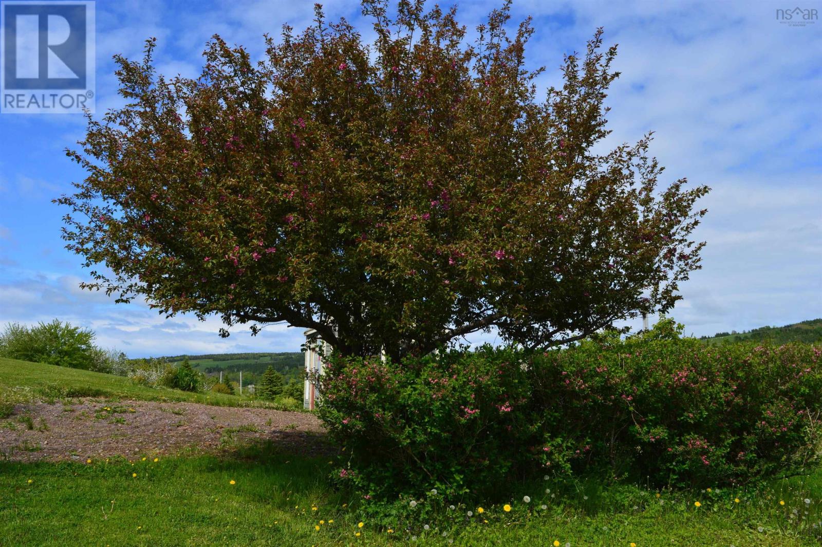 1333 Dunmore Road, Community Of St Andrews, Upper South River, Nova Scotia  B0H 1M0 - Photo 38 - 202412589