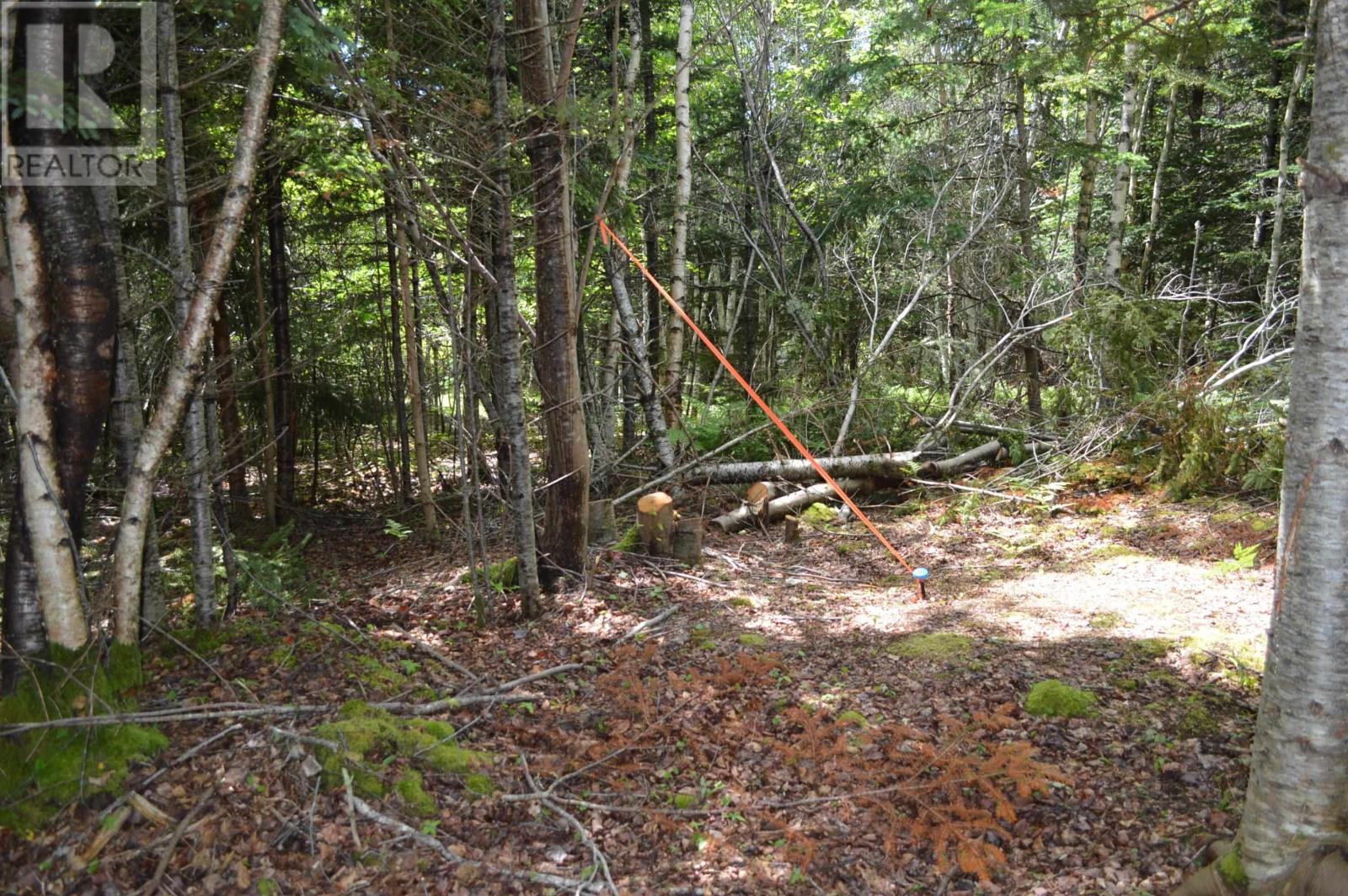 Lot 2 Portion Of 60169216 Blue Rocks Road, Garden Lots, Nova Scotia  B0J 2C0 - Photo 29 - 202412673