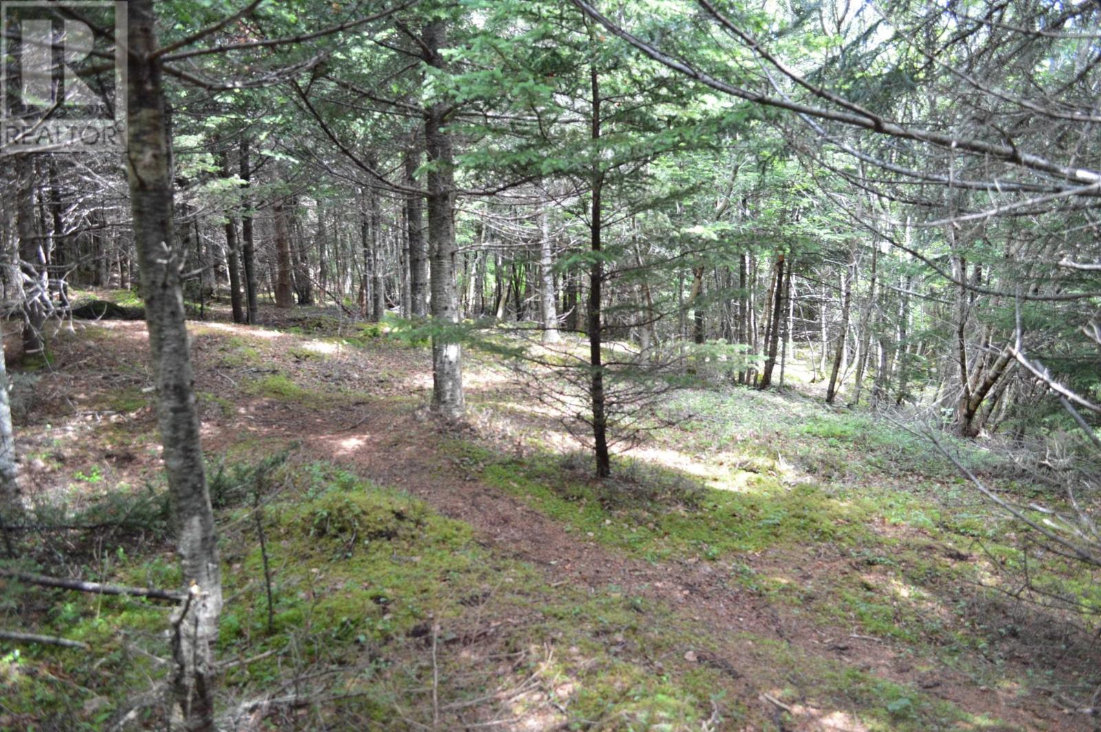 Lot 2 Portion Of 60169216 Blue Rocks Road, Garden Lots, Nova Scotia  B0J 2C0 - Photo 33 - 202412673