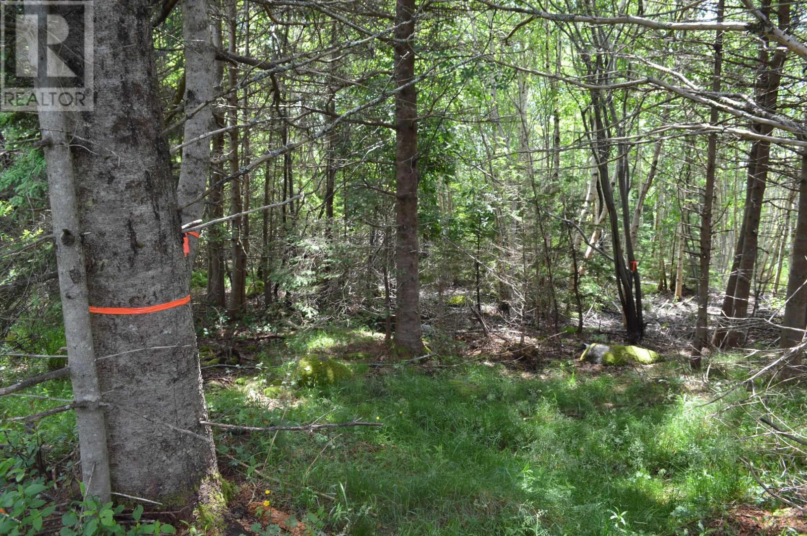 Lot 2 Portion Of 60169216 Blue Rocks Road, Garden Lots, Nova Scotia  B0J 2C0 - Photo 45 - 202412673