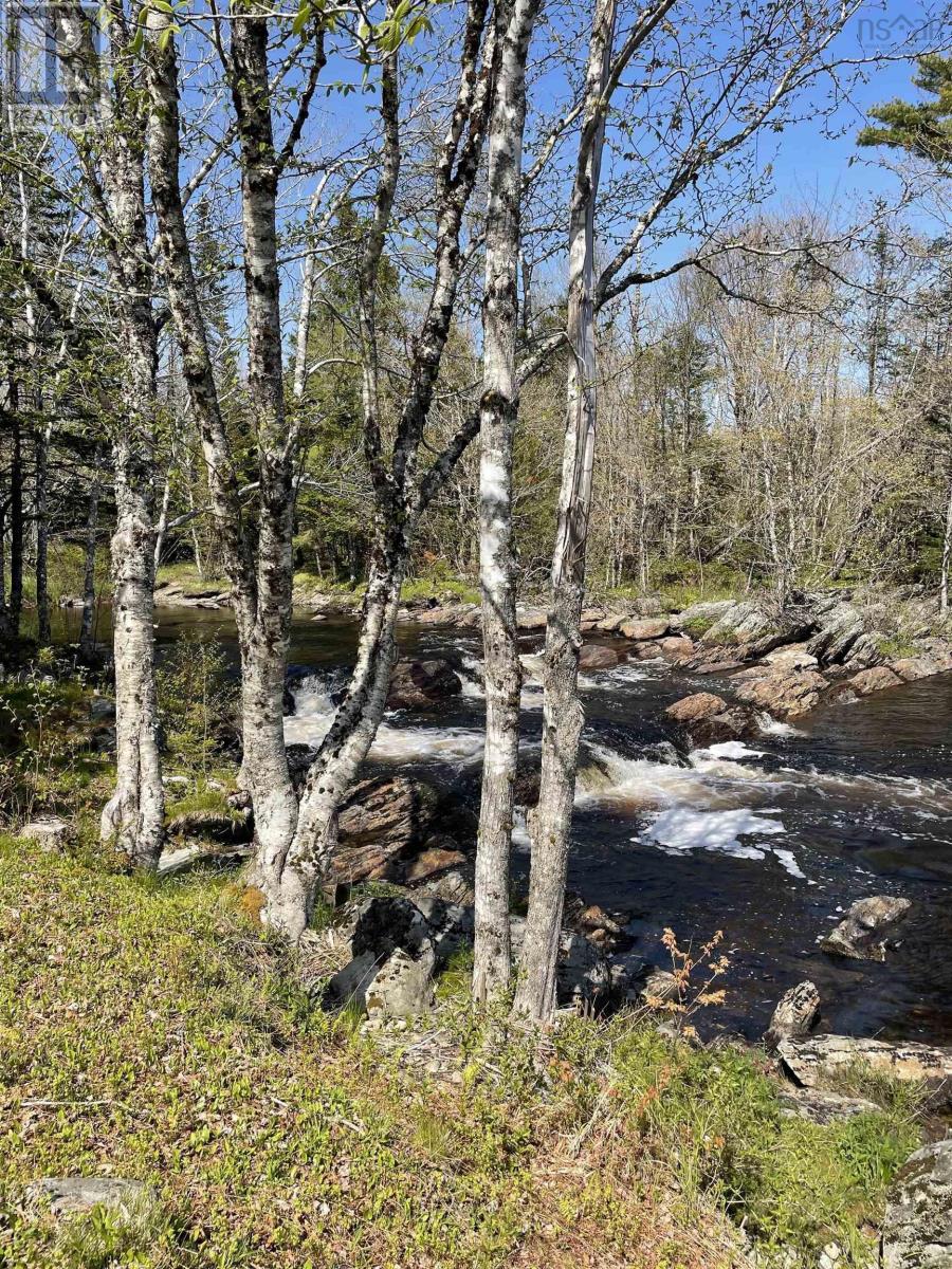 25 Ton Timber Hills Road, Moser River, Nova Scotia  B0J 2R0 - Photo 23 - 202412677