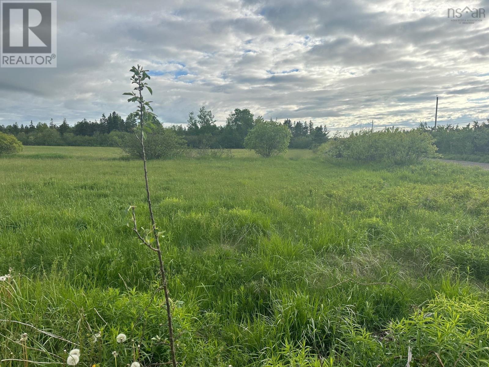 Lot #3 Shore Road, Ogilvie, Nova Scotia  B0P 1E0 - Photo 6 - 202412683