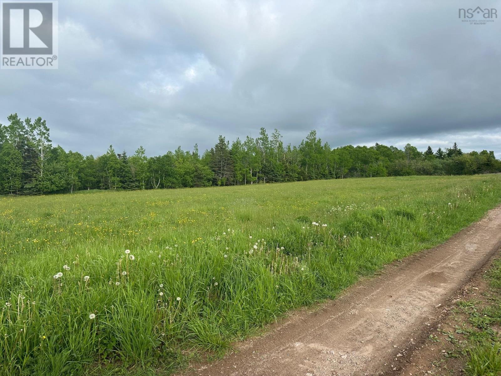 Lot #3 Shore Road, Ogilvie, Nova Scotia  B0P 1E0 - Photo 8 - 202412683