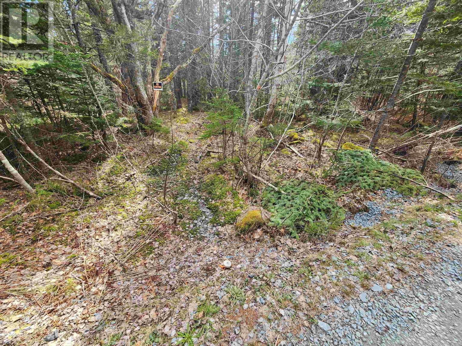 Lot Chestnut Road, Dublin Shore, Nova Scotia  B0R 1C0 - Photo 2 - 202412698