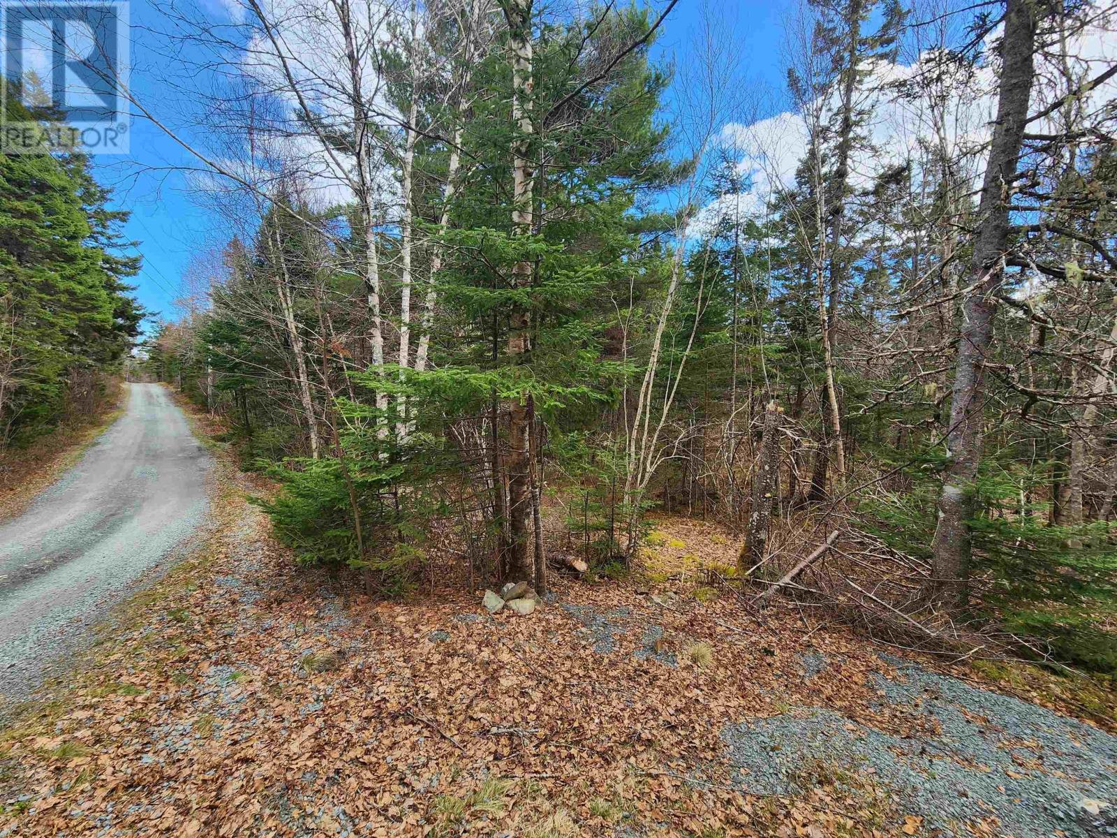 Lot Chestnut Road, Dublin Shore, Nova Scotia  B0R 1C0 - Photo 3 - 202412698