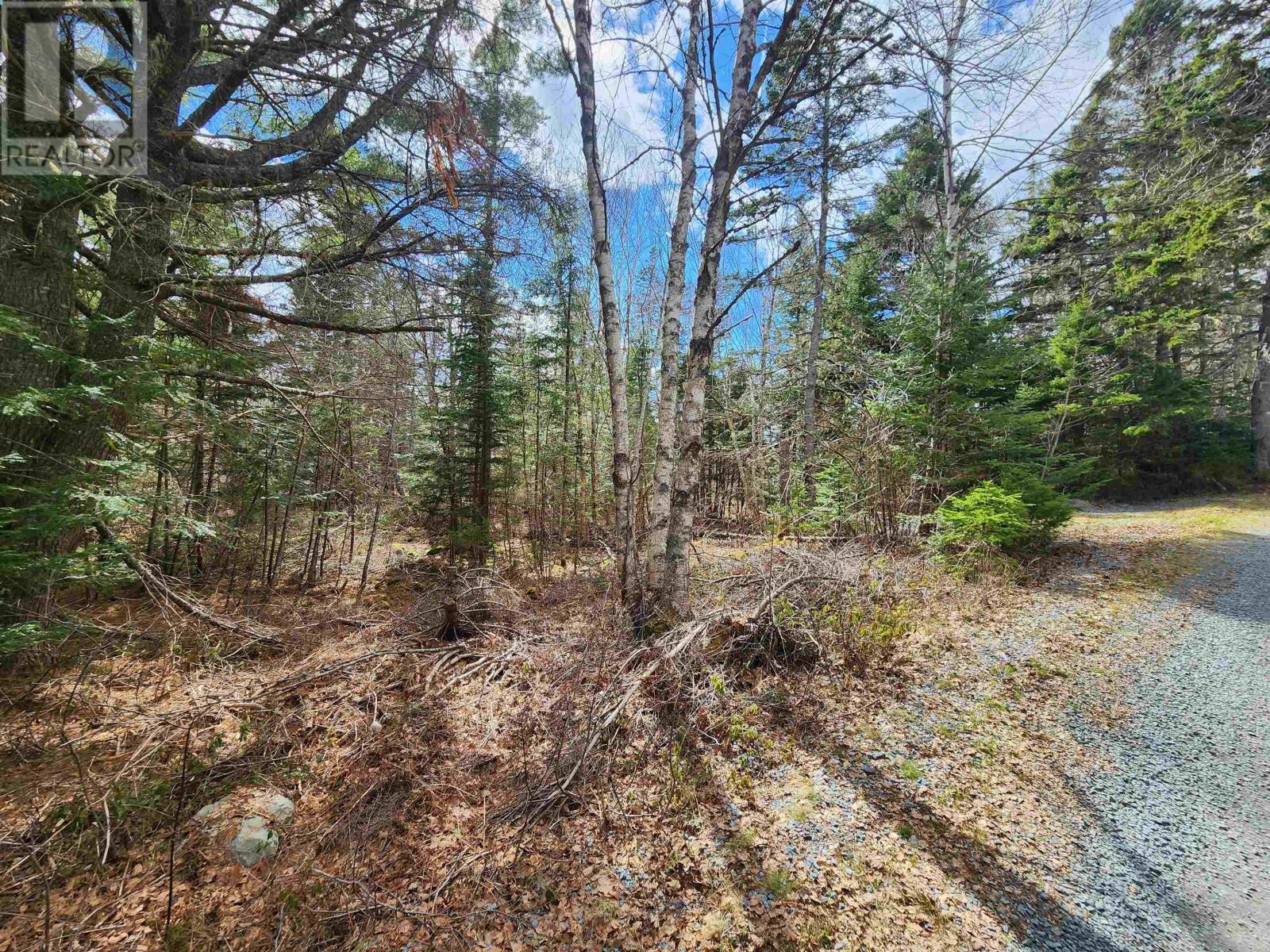 Lot Chestnut Road, Dublin Shore, Nova Scotia  B0R 1C0 - Photo 6 - 202412698