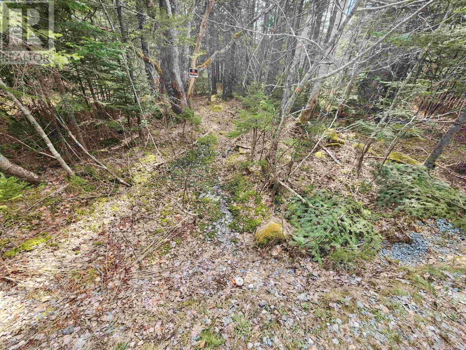 Lot Chestnut Road, Dublin Shore, Nova Scotia  B0R 1C0 - Photo 8 - 202412698