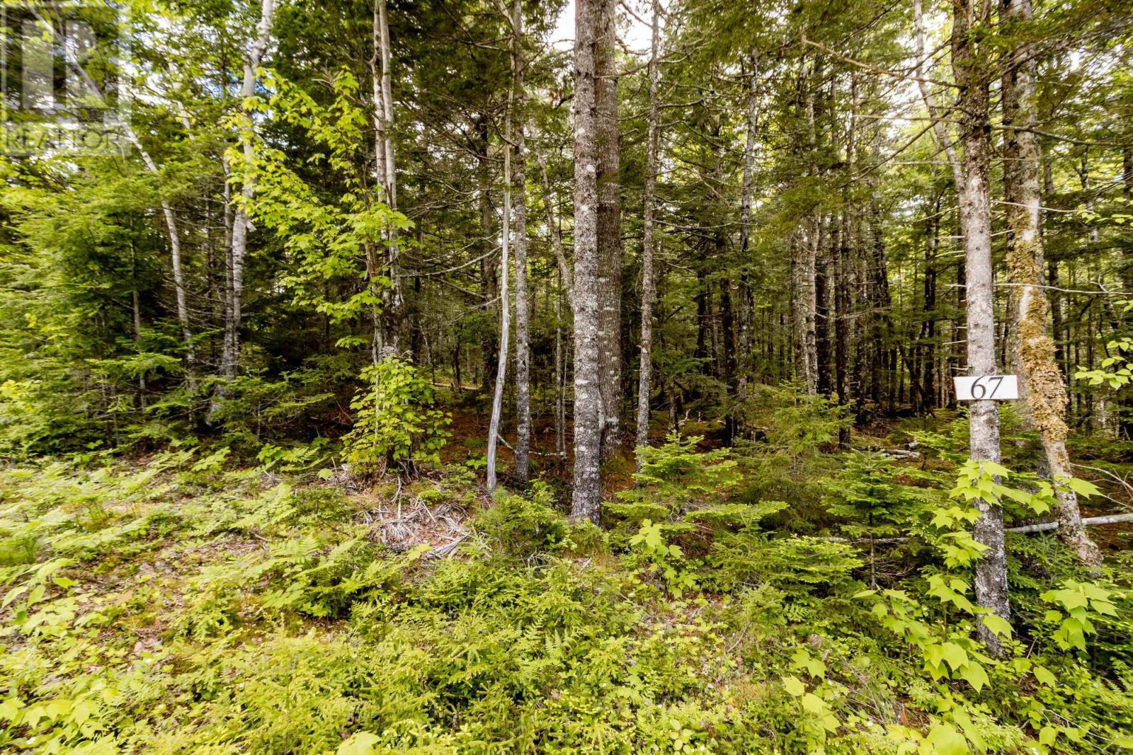 Lot 67 White Tail Pass, Vaughan, Nova Scotia  B0N 2T0 - Photo 1 - 202412741