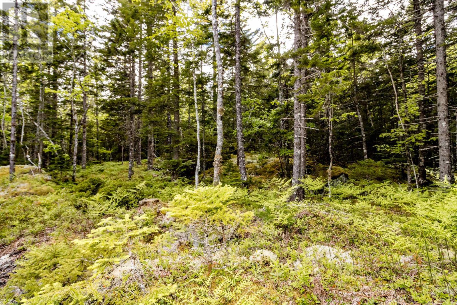 Lot 67 White Tail Pass, Vaughan, Nova Scotia  B0N 2T0 - Photo 2 - 202412741