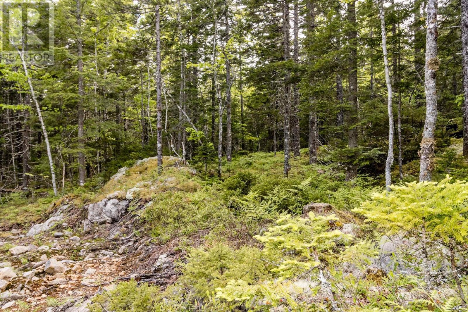 Lot 67 White Tail Pass, Vaughan, Nova Scotia  B0N 2T0 - Photo 4 - 202412741